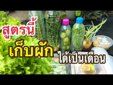วีดีโอ: วิธีเก็บผักที่บ้านอย่างถูกวิธี