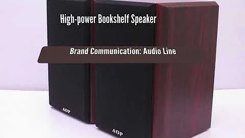 100W 5 25 Inch Home High power Bookshelf Speaker 2022