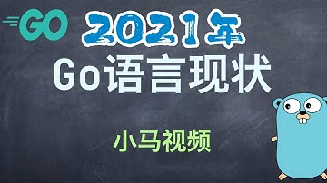 【Go语言】2021年 Go 语言现状 - The state of Go