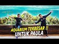 AQUARIUM TERBESAR UNTUK PAULA SUPAYA CEPET HAMIL LAGI !! TAMBAH SAYANG TAMBAH CINTA !!