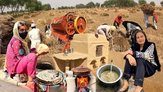 Traditional Food Cooking For Wheat Harvester laborers | Village Life Pakistan || Rural life by Stunning Punjab 423,076 views 1 year ago 14 minutes
