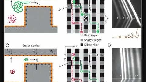 Nanofluidics in Lab-on-a-Chip Devices