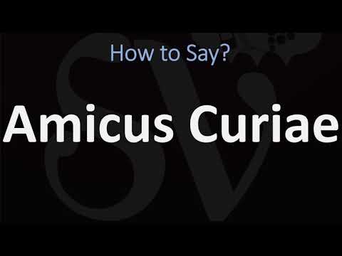 Video: Je, amicus curiae imechorwa?