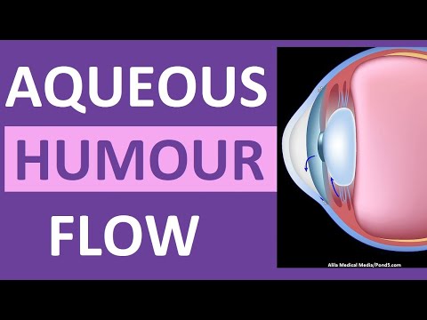 Aqueous Humour Eye Circulation Flow Animation: Open-Angle vs Closed-Angle Glaucoma