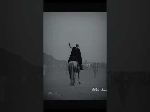 تراث خيل اصالة