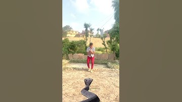 25 April Moj newtrend | Nagin Snake Vfx I New Trending Video | Cobra snake | Amazing Special Effect