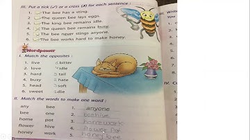 Class 2nd //Lesson 5 Bees/Question Answer//Solved Exercise//English//Learnwell Publication