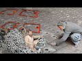 How Manufacturing of a Cart Tire Rim using melted Aluminum and Steel | Top Fantastic Amazing Process