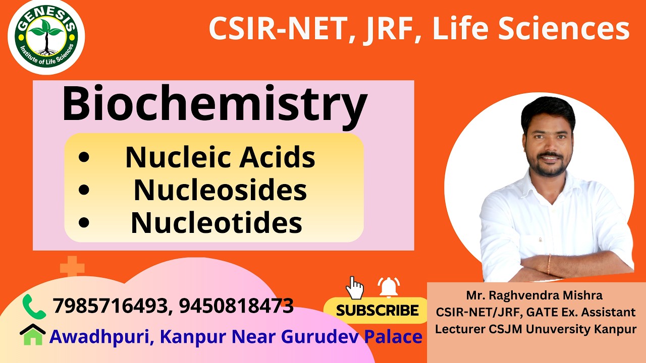 Nucleic Acids | Nucleosides | Nucleotides | Biochemistry#genesis_institute#csir#csirnet #lifescience