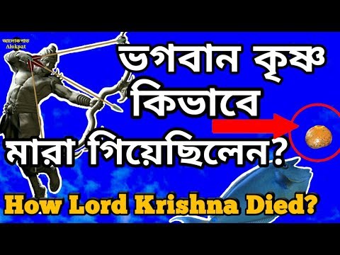 ভিডিও: যুদ্ধের সময় যে মারা গিয়েছিল তাকে কীভাবে খুঁজে পাব