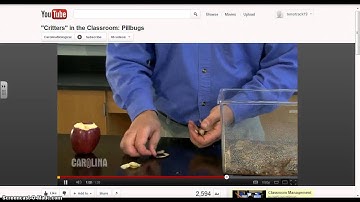 QR Science Pill Bugs Video
