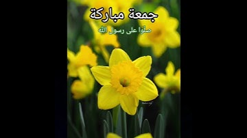يوم الجمعة// حالات واتس اب دينية// جمعة مباركة// جمعه طيبه// سورة الكهف