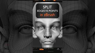 Split Edges vs Points in zBrush