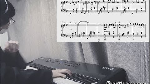 Fragile Memory 220121