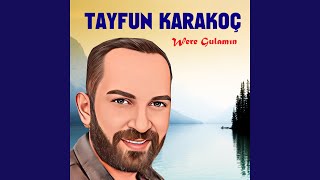 Were Gulamın Resimi
