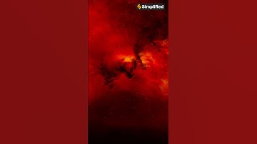 Brown Dwarfs Unveiled (The Star That