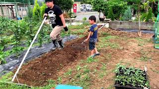 動画で家庭菜園『オクラ栽培①（畝作り、植え付け）子供にジャマされながらも…なんとか植えきる！』2019.5.20