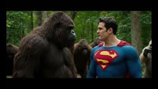 #bigfoot #superman #fight #fyp