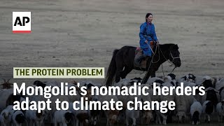 How Mongolia's nomadic herders adapt to climate change | The Protein Problem
