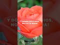 DÍA 19 DE BUENAS NOTICIAS “El Señor es mi pastor; nada me faltará.” (Salmos 23:1)Con fe… podés