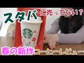 【スタバの新作】スタバに売ってない？新作コーヒーをレビューしていたら誰かがブチギレましたwww