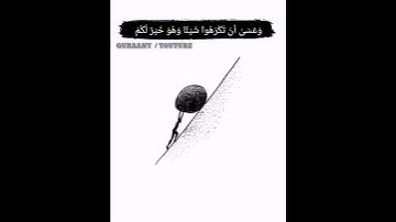 قران كريم بصوت مشاري العفاسي ||سورة البقرة ||حالات واتس دينية