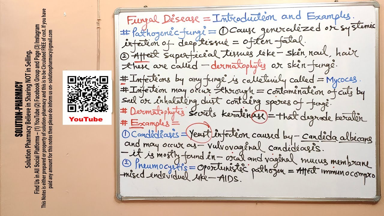 Microbiology 80 =  Fungus (03) = Fungal Diseases Introduction | Fungal Infection | Microbiology