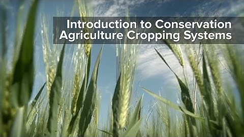 Introduction to Conservation Agriculture Cropping Systems
