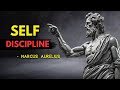 Master selfdiscipline with 10 stoic principles  marcus aurelius stoicism guide