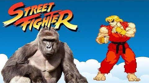 HARAMBE VS CAPCOM - Street Fighter