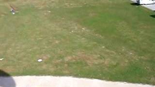 Paragliding Covara Landing