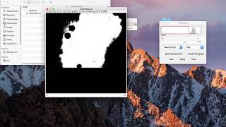 Processing Fibre Dissolution Videos using ImageJ & Solna.imj Macros