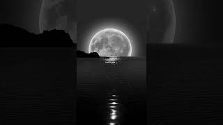 The Greatest  Sia aesthetic black darkness foryou shortsfeed fyp