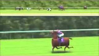 カオスな競馬ゲーム２～その６～ JRA Japan World cup 2 screenshot 5
