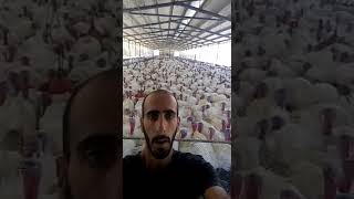 Man Doet Een Kalkoen Na