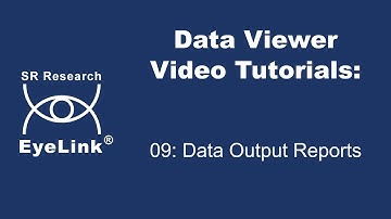 Data Viewer Video Tutorial: 09 - Data Output Reports
