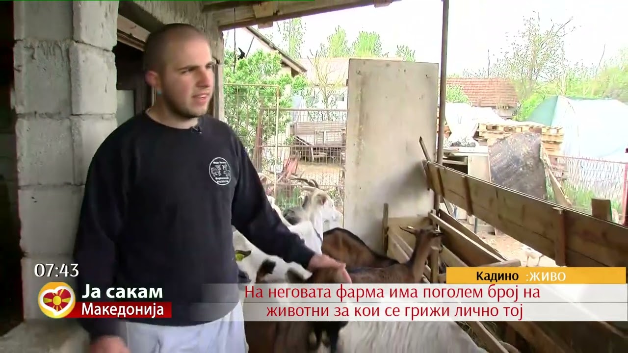 Никола Богдановски поседува голема фарма со разни животни
