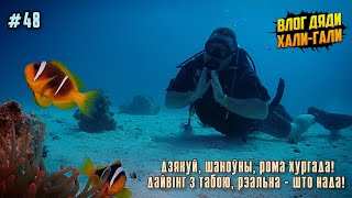 Влог Дяди Хали-Гали #48. Дзякуй, Шаноўны, Рома Хургада! Дайвінг З Табою, Рэальна - Што Нада!