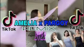 AMELIA X PARGOY REMIX ( ADJ )TERBARU 2022