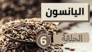 الحلقة 6: تعرفوا على فوائد بذور اليانسون 