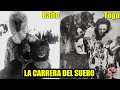 La Verdadera Historia de TOGO, BALTO Y LA CARRERA DEL SUERO(Completa)