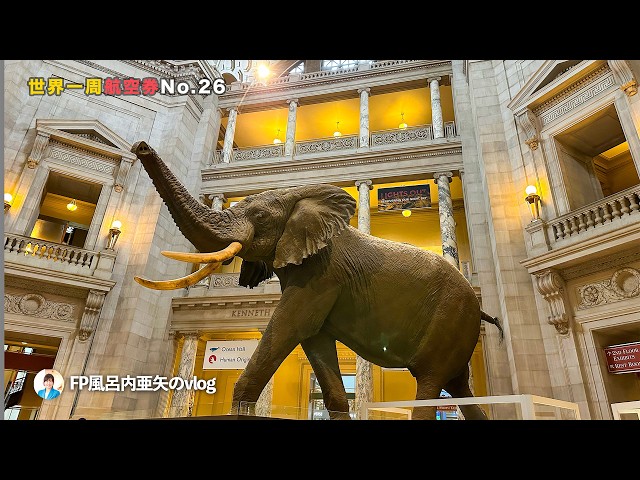 スミソニアン　スプーン　SMITHSONIAN  INSTITUTION Amazingly free! To the Smithsonian Museum! One World Round