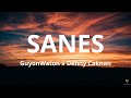 Lirik lagu sanes  guyonwaton x denny caknan   opo koe ra ngerti larane