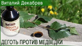 ДЕГОТЬ ПРОТИВ МЕДВЕДКИ!  СУПЕР СРЕДСТВА от насекомых и грызунов!