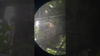 IMG 1063 2