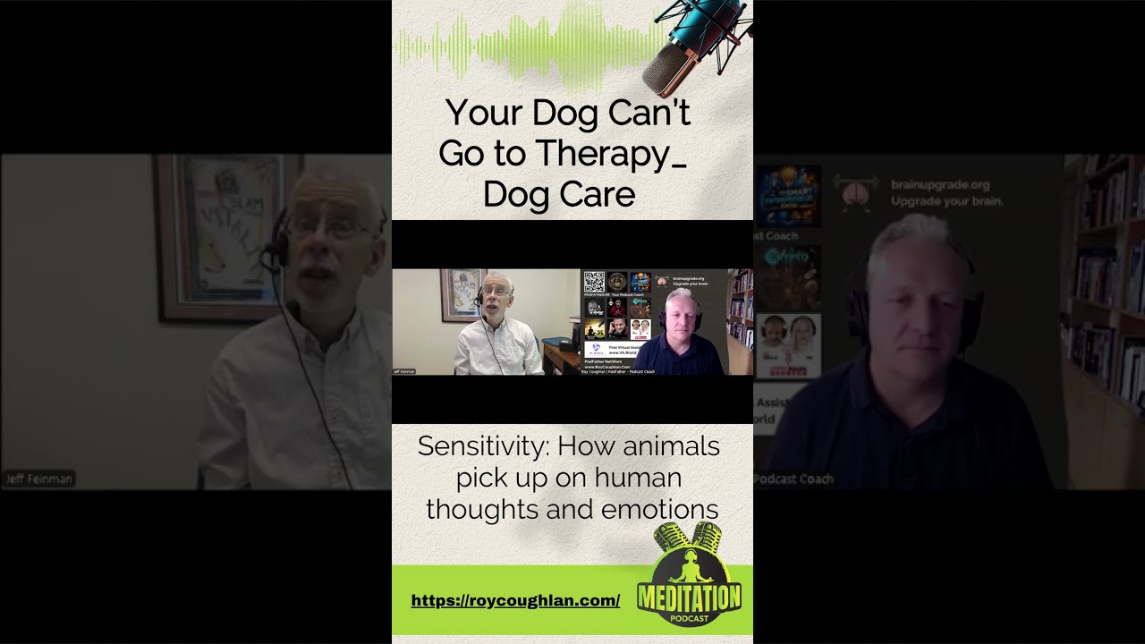 Sensitivity How animals pick up on human thoughts and emotions