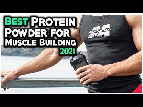 7 Best Protein Powder For Muscle Building 2021 - Hami Gadgets