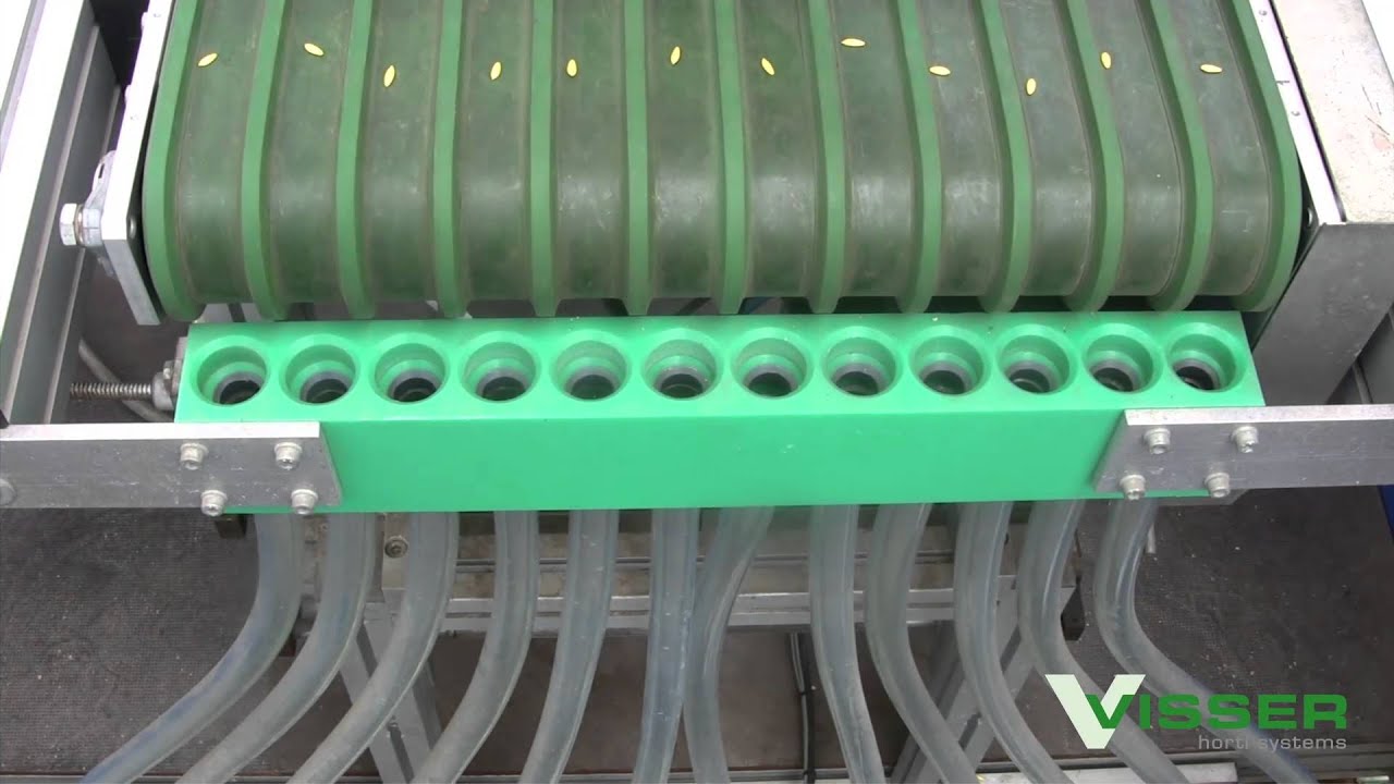 Visser Horti Systems - Seeding line for Rockwool blocks - Combinations