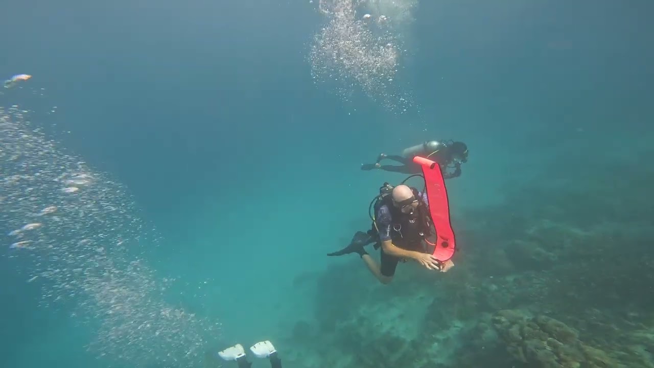 Shark attack 2024 . Dramatic encounter with killer shark on holiday with Anttila family