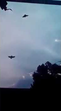 Jalak Suren Heboh tiga serangkai Si Klawing Kawer dan Unyil  Terbang Bebas Milik Bimo Bimo FDJSP